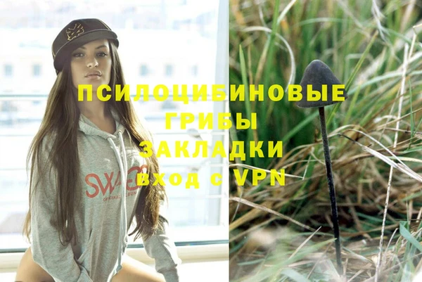 мдпв Заводоуковск