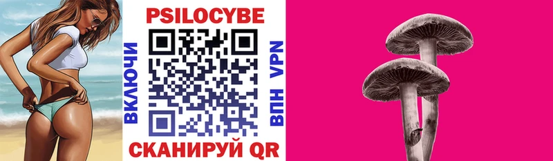 Псилоцибиновые грибы GOLDEN TEACHER  наркошоп  Карачаевск 